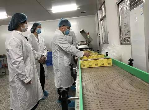 同心抗疫，，，，，，，确保质量！威尼斯9499公司振隆厂外车间接受广药集团生产监视包管小组事情督导