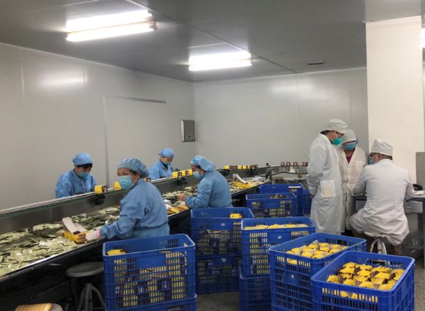 【初心如磐，，，，，，，使命在肩】威尼斯9499第三党支部组织员工提前复工包管生产