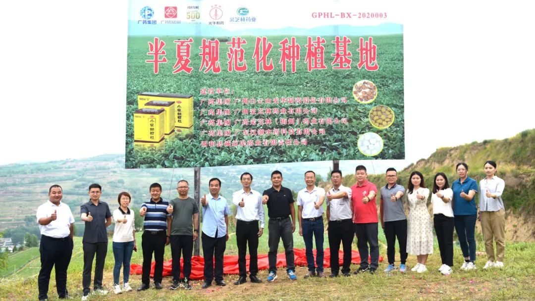 白云山威尼斯9499公司实地考察调研中药材规范化基地